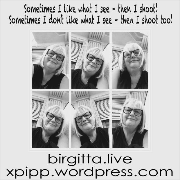 "Sometimes I like what I see - - then I shoot! Sometimes I don't like what I see - - then I shoot too!" Birgitta Rudenius birgitta.live