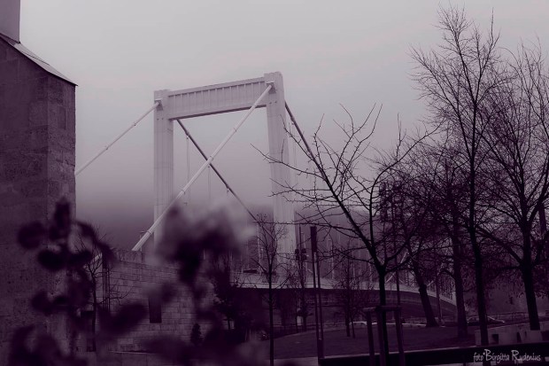 Purple - Elisabet Bridge, Budapest