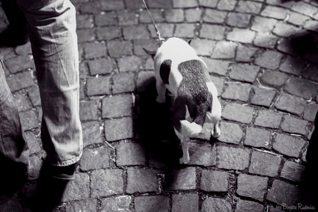 Following you for ever