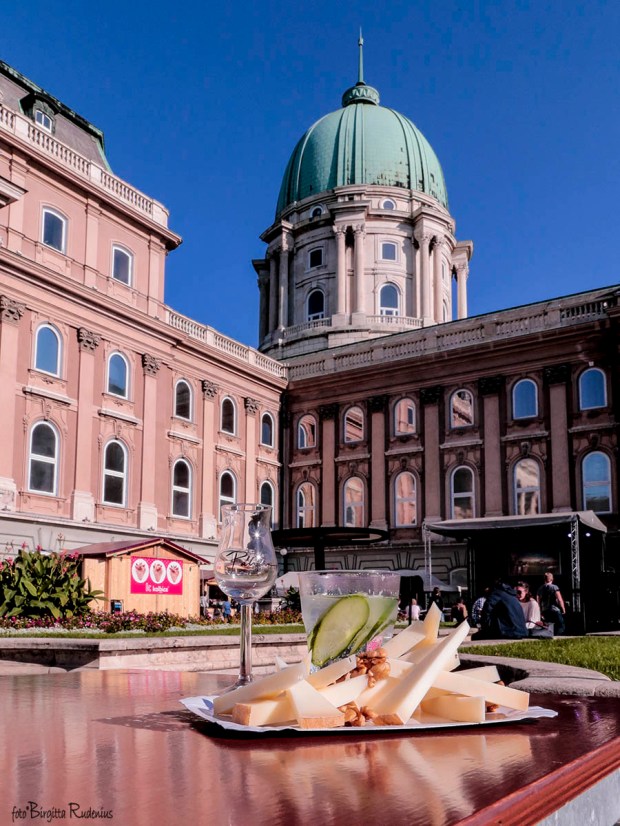 Palinka festival 2015