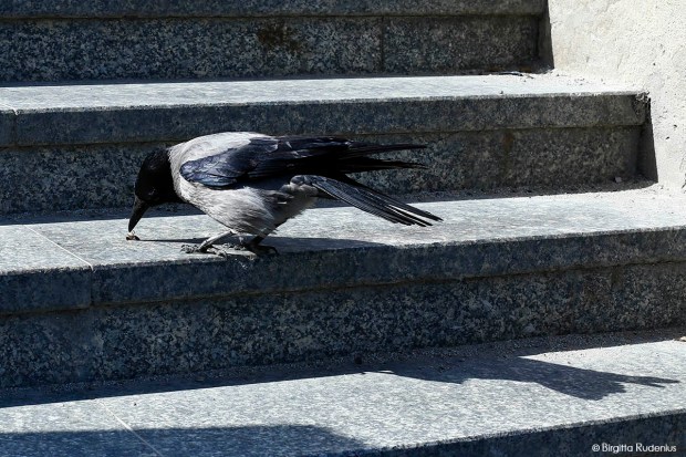 Please have Mercy - Begging you for mercy