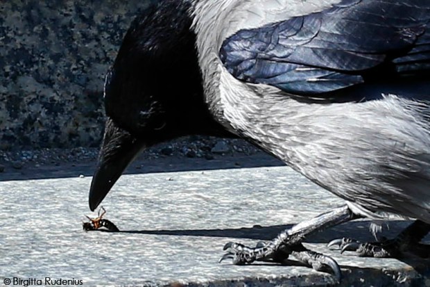 Please have Mercy - Begging you for mercy