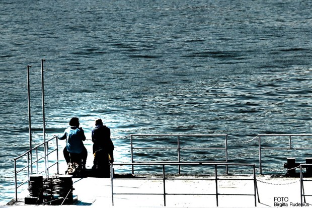 The Danube for fishing 2