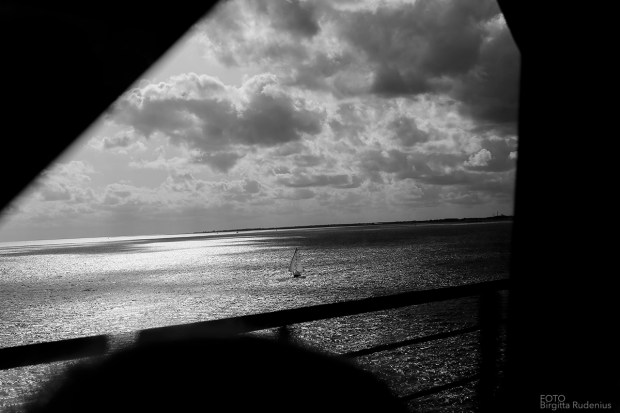 Sailing in between ... Life