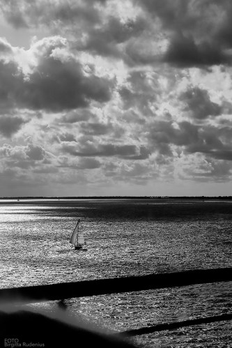 Sailing in between ... Life