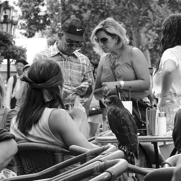 Street Photography - Face to Face - Did we get a good photo?