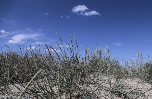 Båstad, Sweden 2016