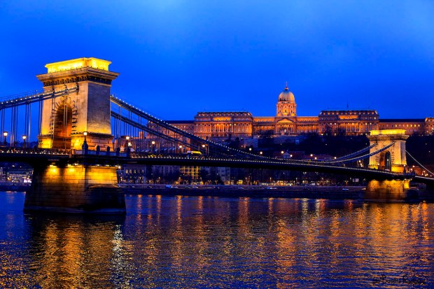 Chain Bridge and Buda castle, Budapest
