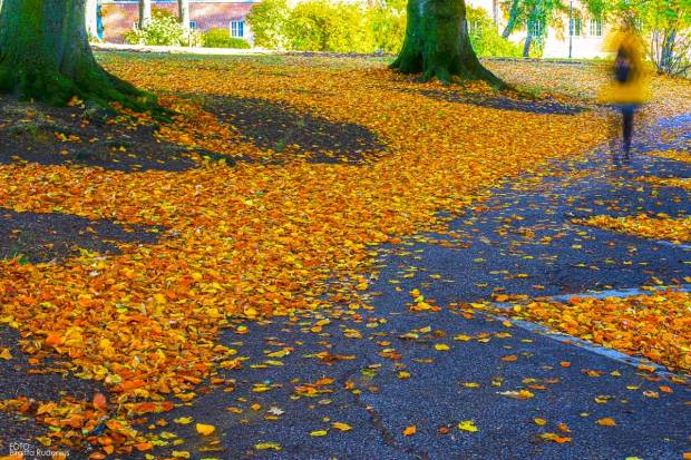 Autumn walk away