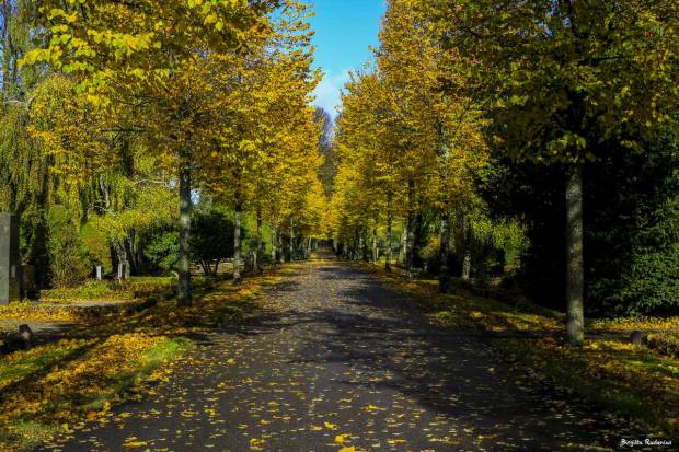 Autumn in Lund, Sweden