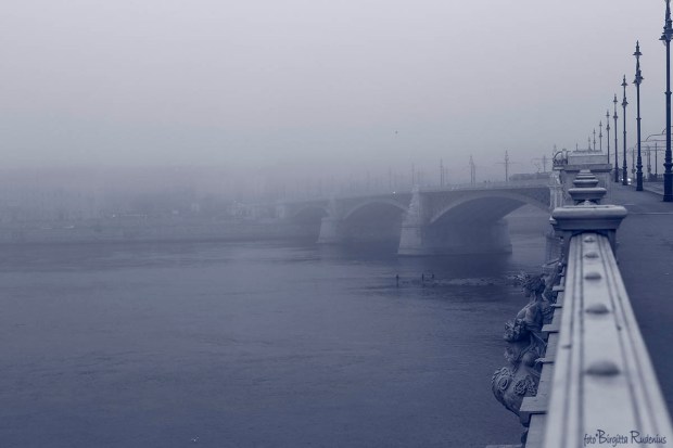 Misty Bridge Walking