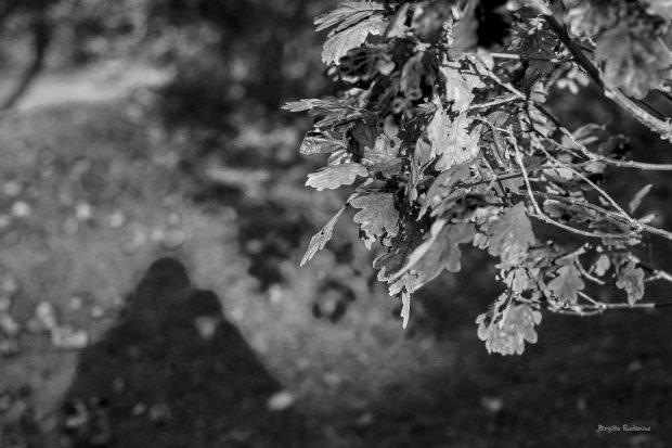 BW - Me and my Motive