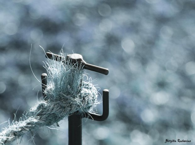 Photomania - Blue Knot