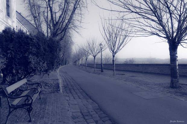 Blue Photo - Lonely Way