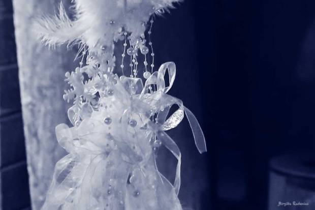 Blue Photo - Lace and Pearls