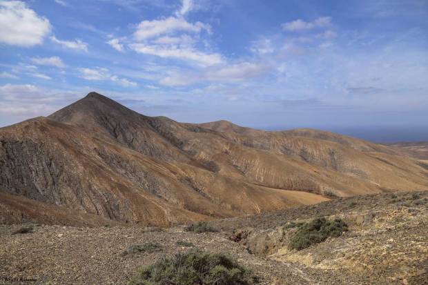 View - Fuerteventura Desert Landscape