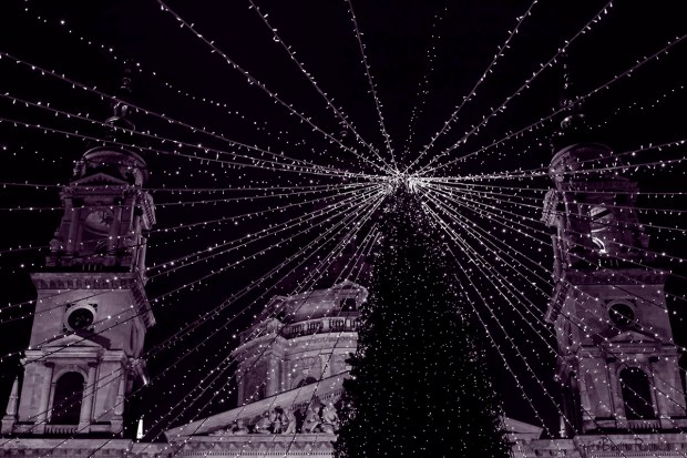 Purple Photo - Lightened