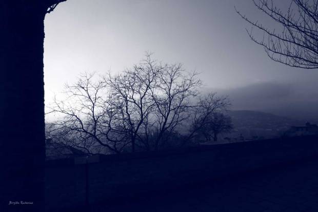 Blue Photo - Sky View