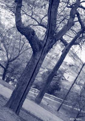 Blue Photo - There is a Crack