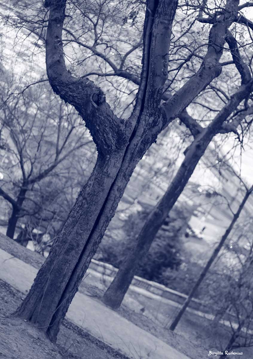 Blue Photo - There is a Crack