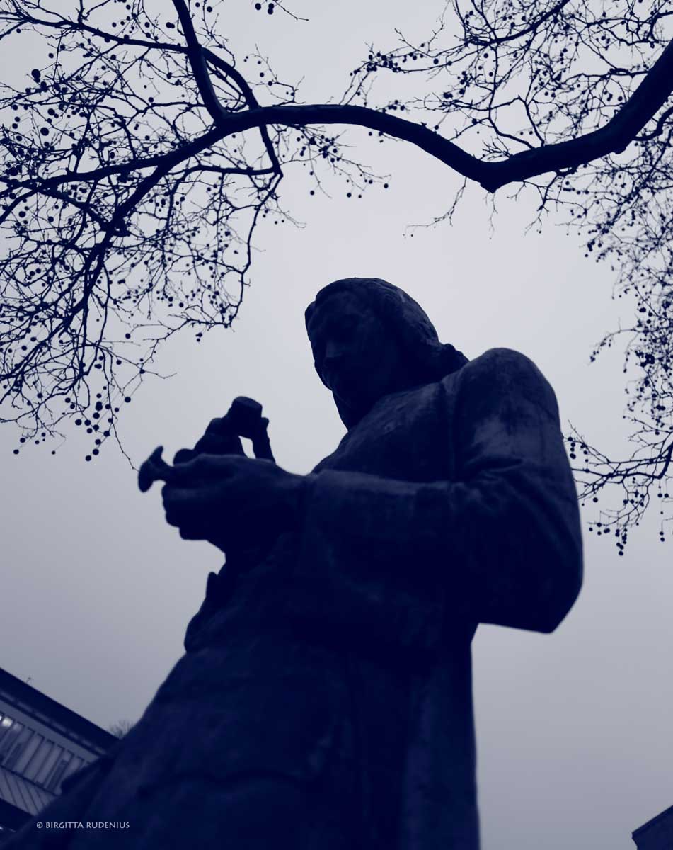 Blue Photo - Carl von Linné