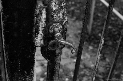 Black & White door to open