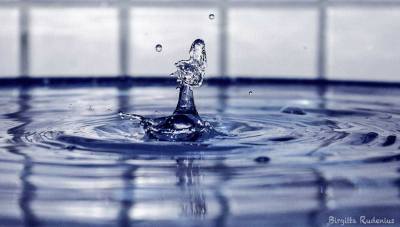 Blue Photo - Whispering Loud