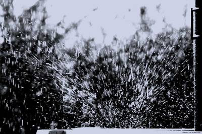 ~ raindrops ~ falling tight ~ outspread ~