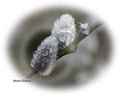 Holding the bubbles - Bright life.