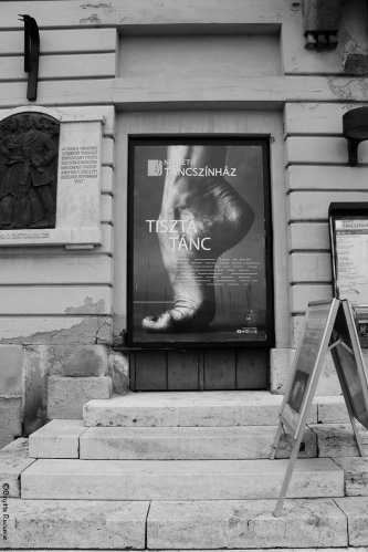 BW - Dance and Ballet