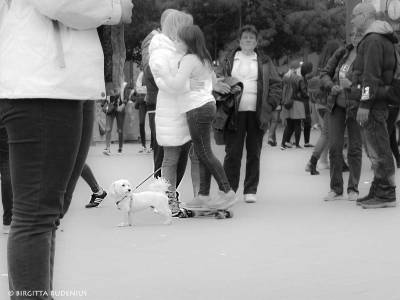 Street Photo Déak Tér, Budapest.