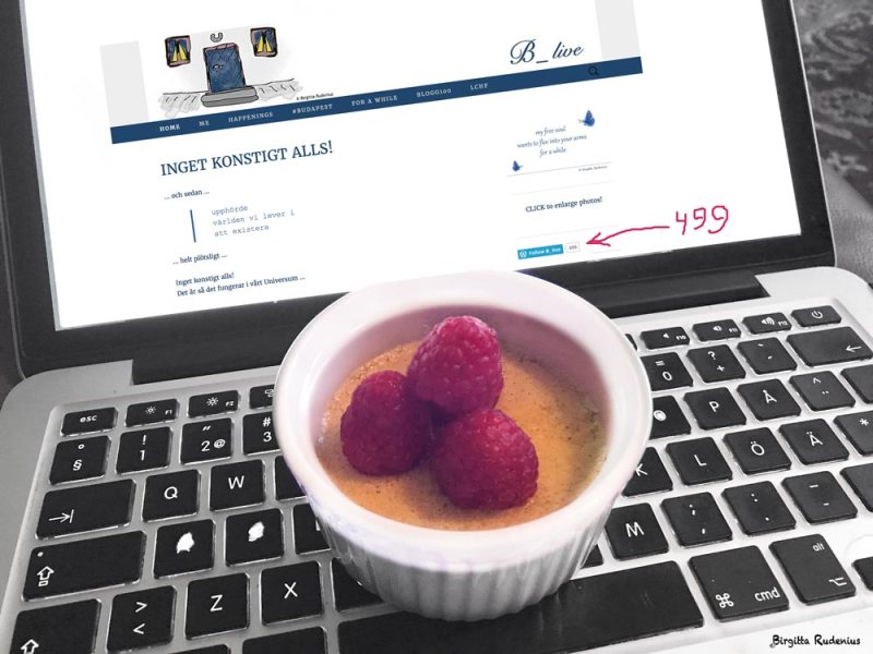 Followers 499 ... and next ...