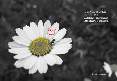 Jag vill ha fakta och allsidig belysning! Inte snävt och vinklat! GRÄV djupare!