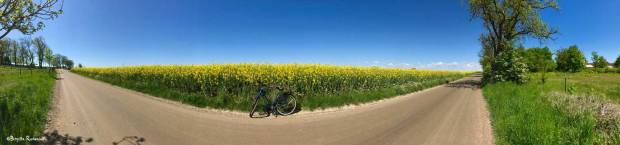 Biking in Skåne, Sweden.