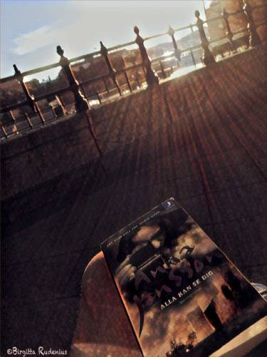 Anna Jansson - Alla kan se dig.