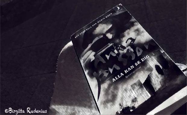 Anna Jansson - Alla kan se dig.