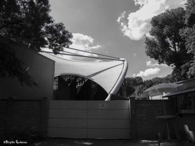 Outdoor scene Margit Island, Budapest.