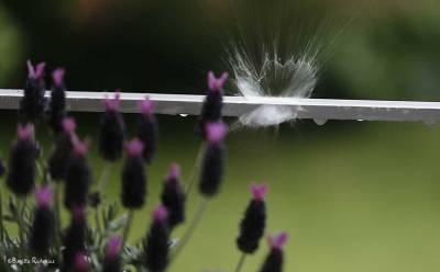 A Splash in Daily Life.