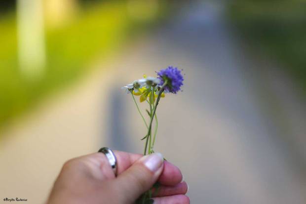 My Life on My Journey with You.