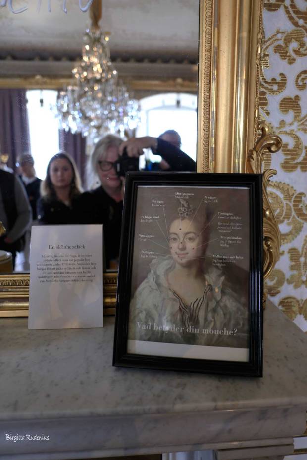 Om Mouche. Skarshult Slott, Eslöv, Skåne.