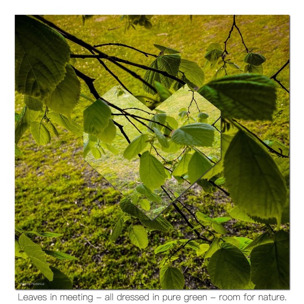 © Birgitta Rudenius