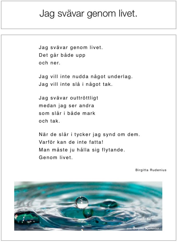 Jag svävar genom livet © Birgitta Rudenius