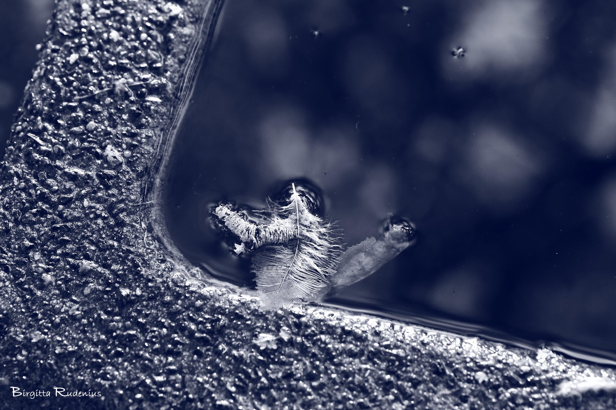 Blue © Birgitta Rudenius