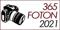 365 foton 2021