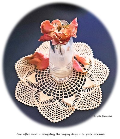 Haiku & Haiga by Birgitta Rudenius