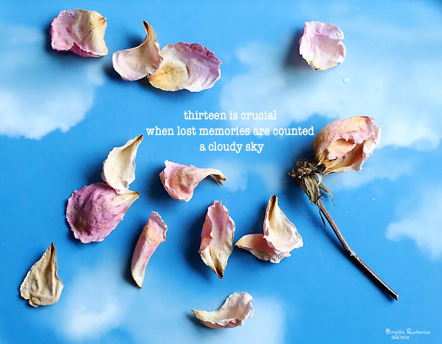 Pics & Poetry © Birgitta Rudenius