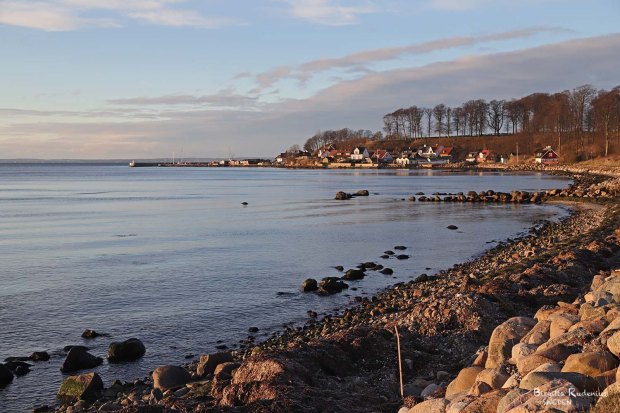 Nature Photo © Birgitta Rudenius