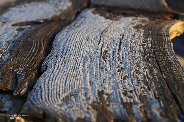 Photo © Birgitta Rudenius