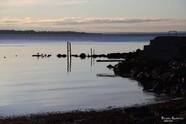 Photo © Birgitta Rudenius