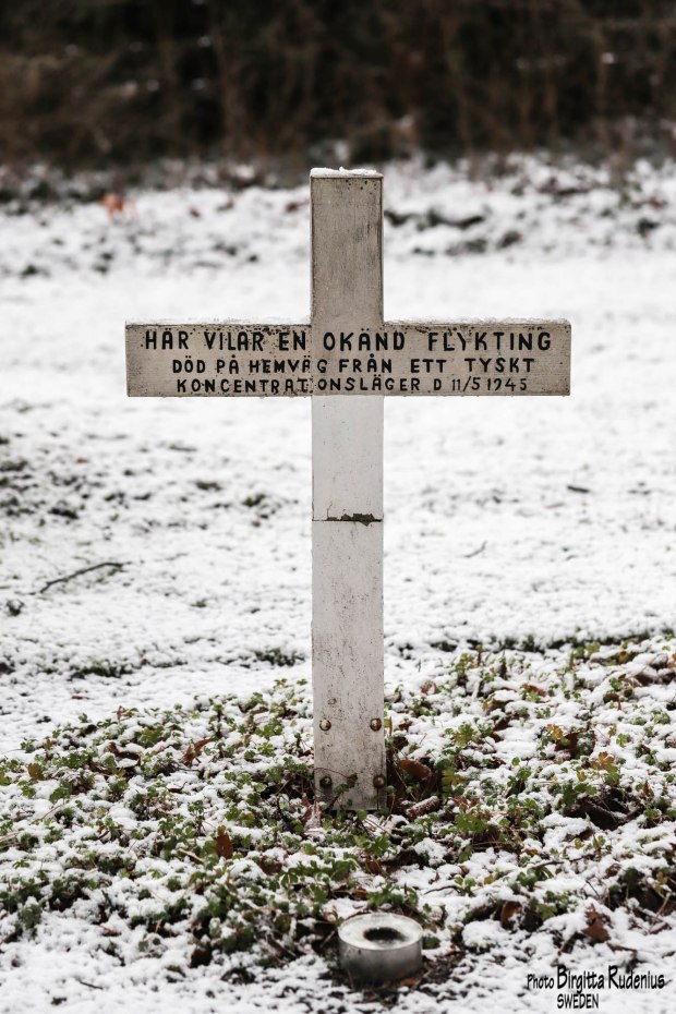 Photo © Birgitta Rudenius